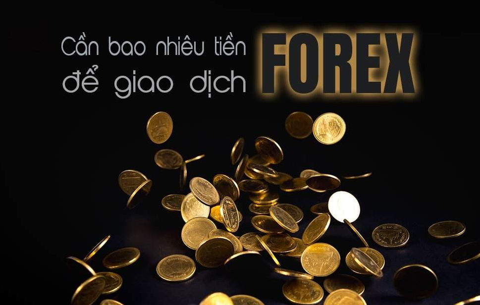 Cần số tiền bao nhiêu để tham gia đầu tư Forex?