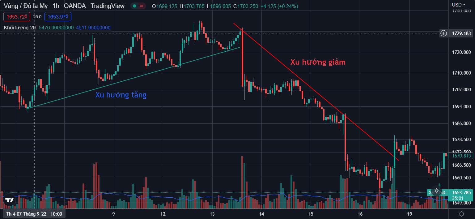 Trendline và đường xu hướng là gì?