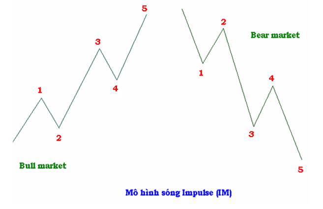 Mô hình sóng đẩy (Impulse Wave) là gì?