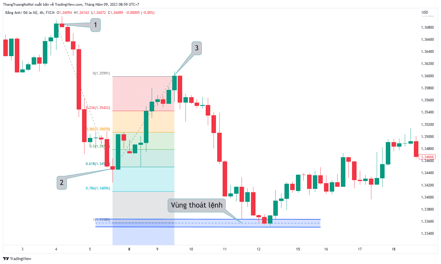 Tổng quan các loại Fibonacci trong giao dịch 3